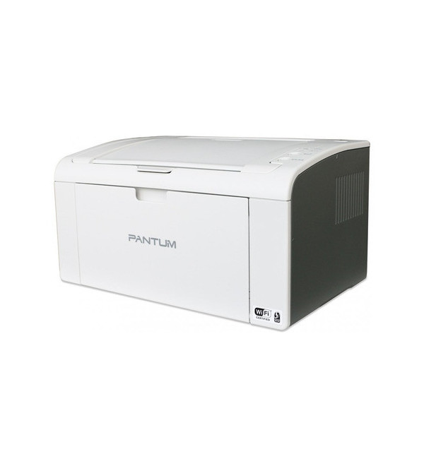 Impresora Laser Pantum P2509w Grey